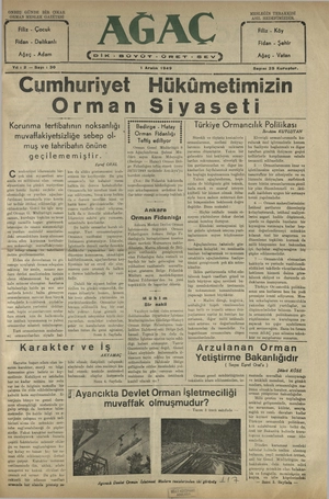 Ağaç.