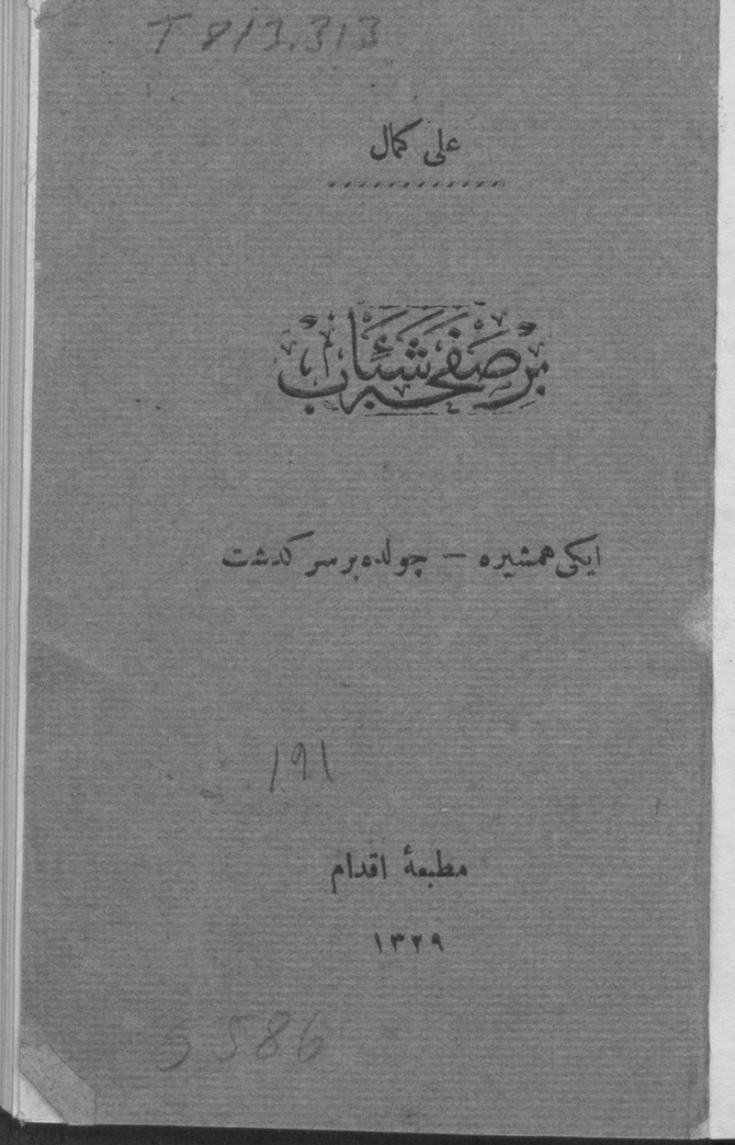 Bir safha-i şebab