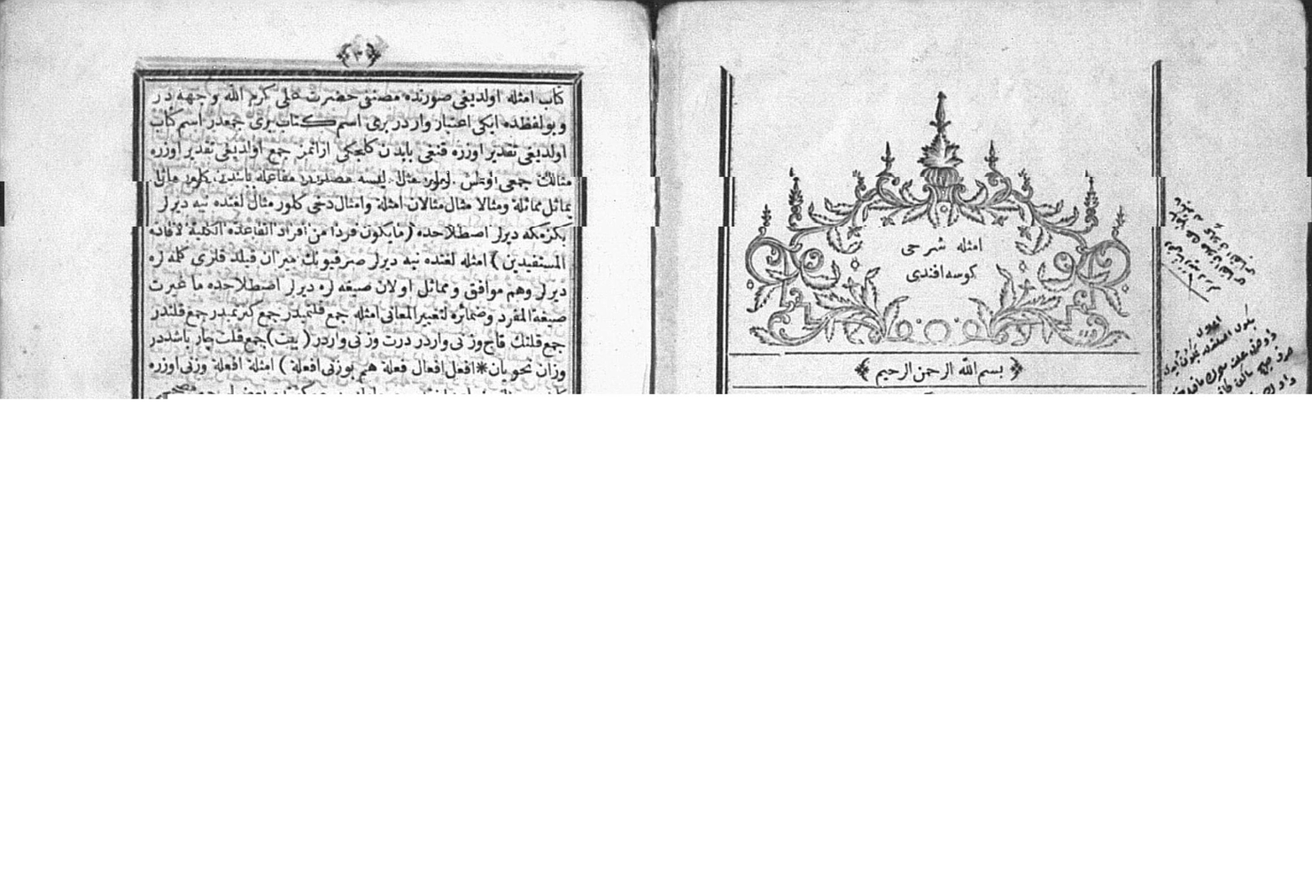 Emsile Şerhi